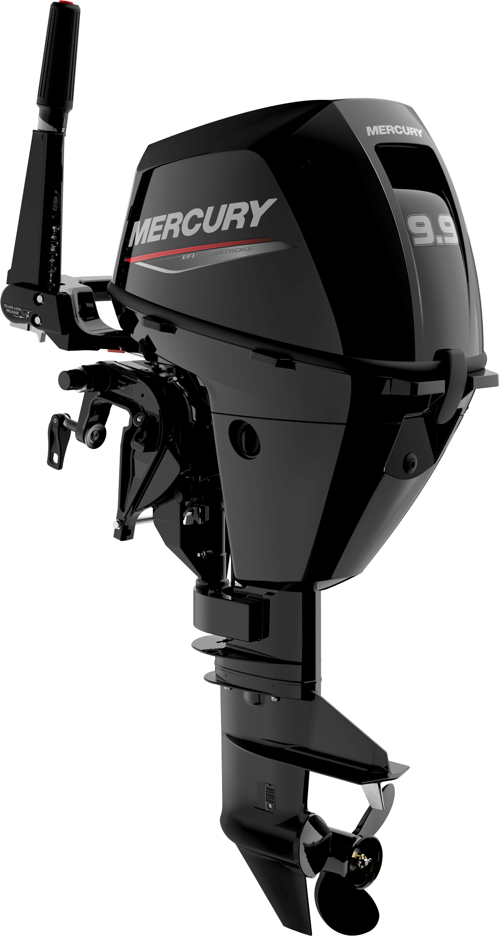 FourStroke 9.9 EFI