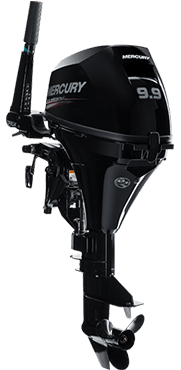FourStroke 9.9